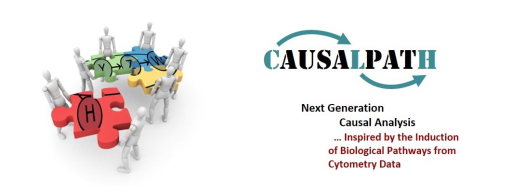 CAUSALPATH project banner